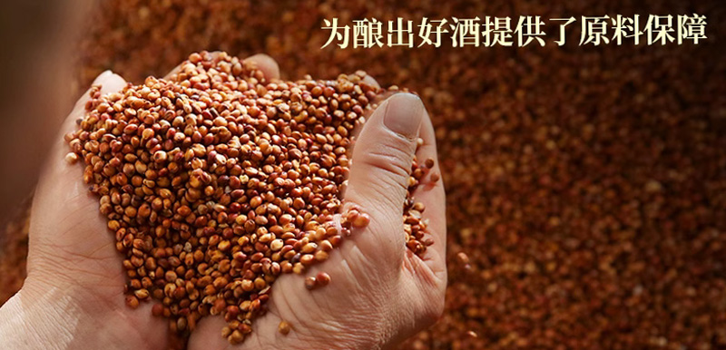 卢氏家族酒口感图片