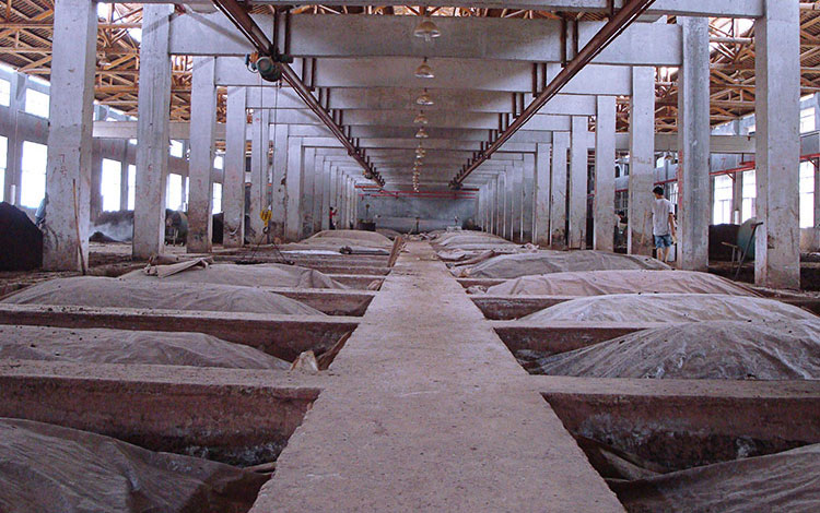 天然钟乳石溶洞